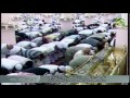 المدينه النبويه  المسجد النبوي  صلاة الليل وليست الفجر 12 7 1436هـ الشيخ احمد طالب حميد