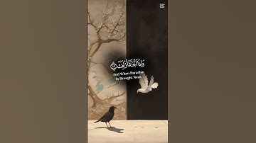 قرآن كريم #اللهم_صل_على_محمد_وال_محمد #اكسبلور_explore #اكسبلور #لايك #المصحف #الرحمن #راحة_نفسية