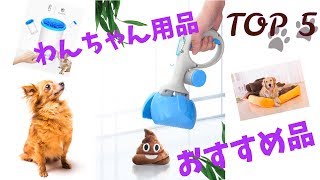 2019年わんちゃん用品おすすめTOP5