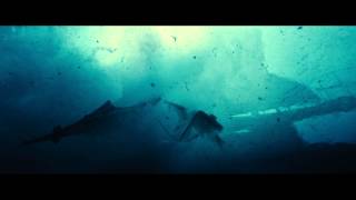 Rust and Bone - Trailer Rust and Bone - Trailer