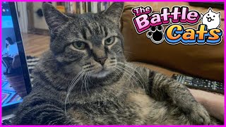 The Battle Cat Android Review Indonesia | Game Gacha Kucing Aneh screenshot 2