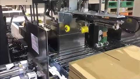 SHINKO 1227 FFG WITH STRAPPING AND ROBOT PALLETIZER
