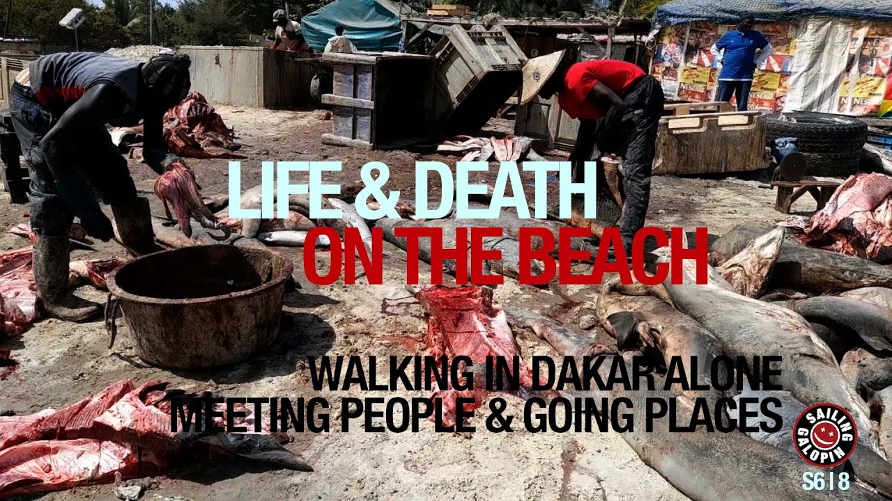 Walking The Streets Of Dakar To Find Solutions | Meeting People Going Places | Season 6 | Episode 8