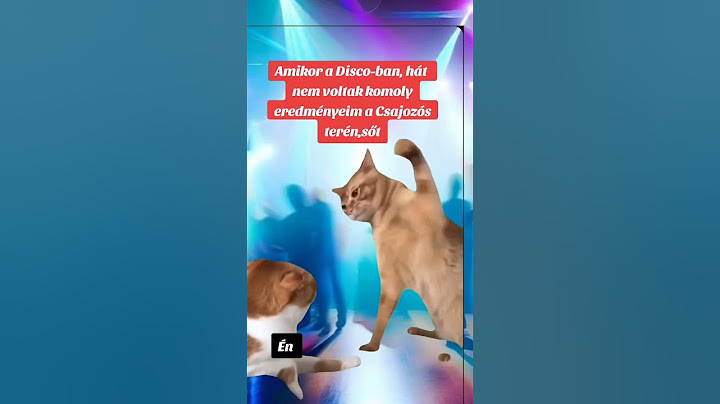 Csajozásaim #hungary #memes #youtubeshorts #funny #humor #shorts #shortsfeed #youtube #fyp #cat