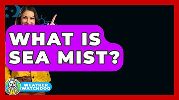 What Is Sea Mist? - Weather Watchdog