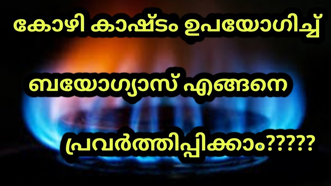 #HowtoworkBiogasPlant. How to work Biogas plant in Chicken manure.