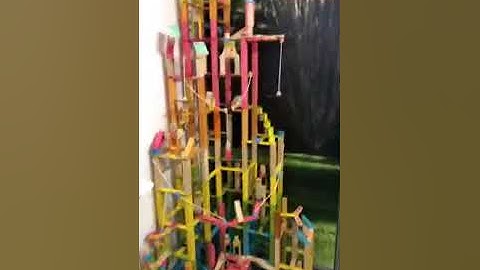 tegu and babame video