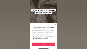 TikTok Wants Transparency With Its Algorithm #tiktok