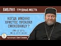 Когда именно Христос проклял смоковницу (Мф. 21:12-21)?  Протоиерей Олег Стеняев