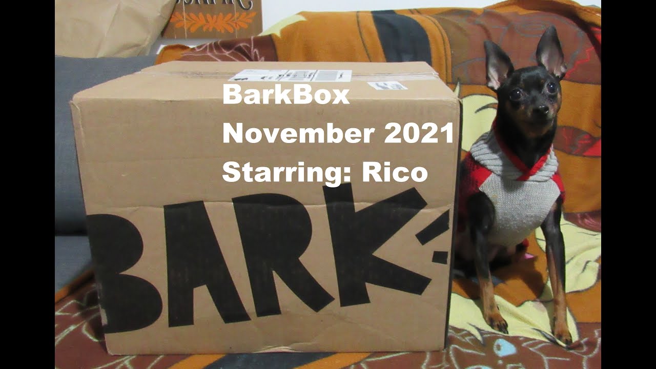 BarkBox: November 2021