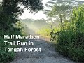 Half marathon trail run in tengah forest