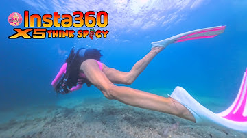 Bridge to Bridge – 60 Minutes  Scuba Adventure with the Insta360 X5 🌊