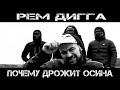 Рем Дигга - почему дрожит осина (Cover)