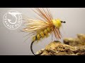 Tying the tennessee bee yellow jacket dry fly pattern