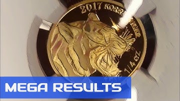 What grading results did NGC dish out this time? | Mega Grading time again #1