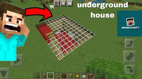 Minecraft: *EASY* Small Starter House Tutorial With Worlds Smallest Violin #shorts #minecraft