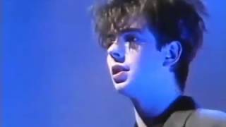 ECHO AND THE BUNNYMEN -  Bring On The Dancing Horses