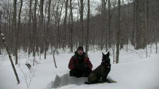 Backcountry Ski Winter Camping Solo in a Quinzhee with my dog