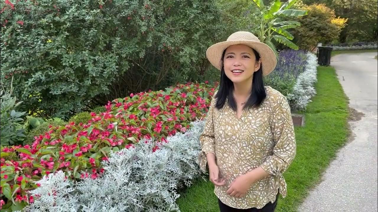 In The Garden, hymn with harmony. Anne Murray version. Classic beautiful hymn. Relaxing music In The Garden, hymn with harmony. Anne Murray version. Classic beautiful hymn. Relaxing music