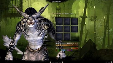 Guild Wars 2 Beta: Charr Character Creation