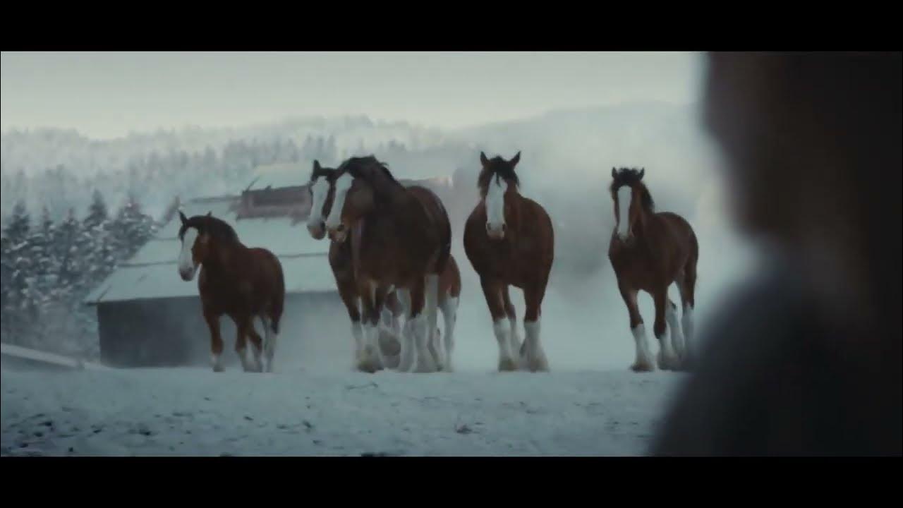 Budweiser Commercial Super Bowl LVIII The Clydesdales Are Back Best