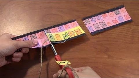 Science Ambassador Scholarship Application 2021