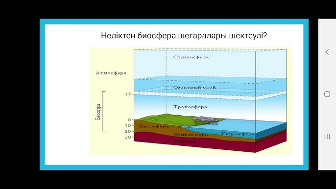 Алла Пугачева мен Галкин жыныстық қатынасқа түсуде