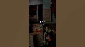 وما توفيقي إلا بالله عليه توكلت وإليه أنيب/ تلاوة هادئة للقرآن الكريم
