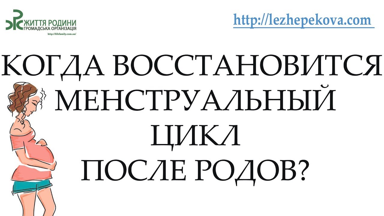 Когда восстановится менструальный цикл после родов?