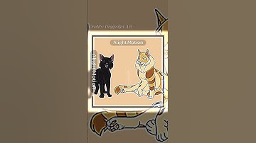 Warrior Cats - Jayfeather edit // og idea: me