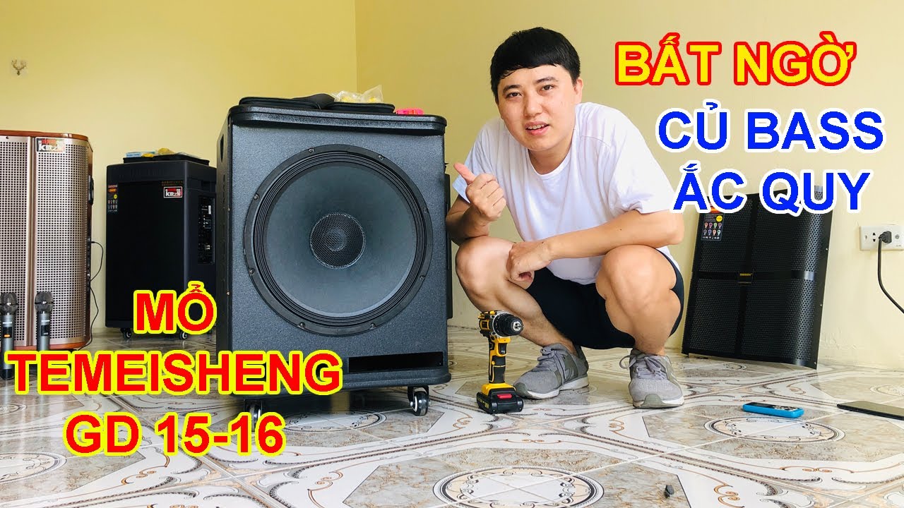 Tháo loa TEMEISHENG GD15-16 | Củ BASS cực độc lạ, ắc quy khủng nhất của loa kéo