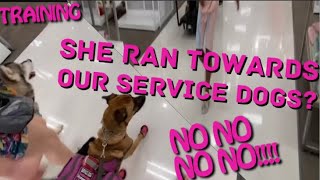 Girl Runs Up On Service Dogs? +Training