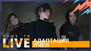 Адаптация пчёл // НАШЕТВLIVE // НАШЕ