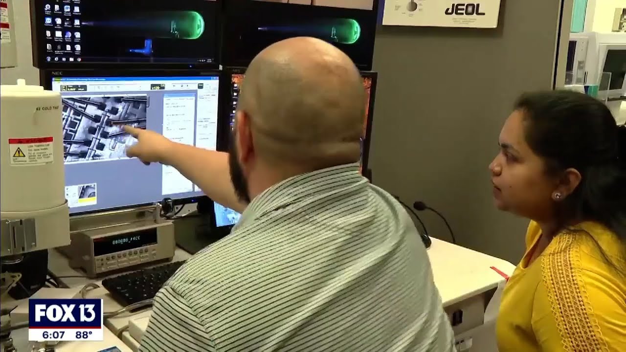 Semiconductor manufacturing certificate at USF on FOX 13 News Tampa Bay