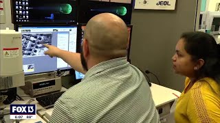 Semiconductor manufacturing certificate at USF on FOX 13 News Tampa Bay