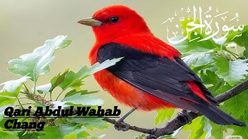 Surat Al-Jinn _ Qari Abdul Wahab Chang _ سورة الجن Surah Jinn Full  With Arabic