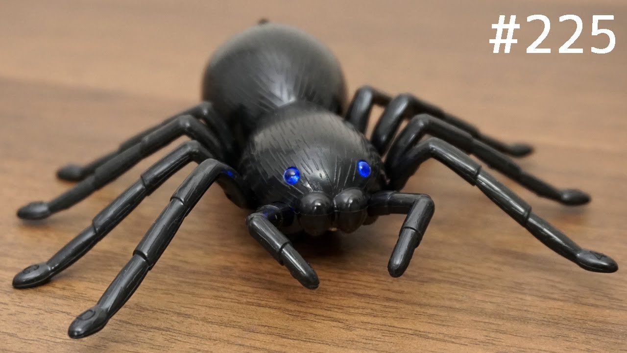 いたずらドッキリができる巨大クモのラジコン。giant spider radio control