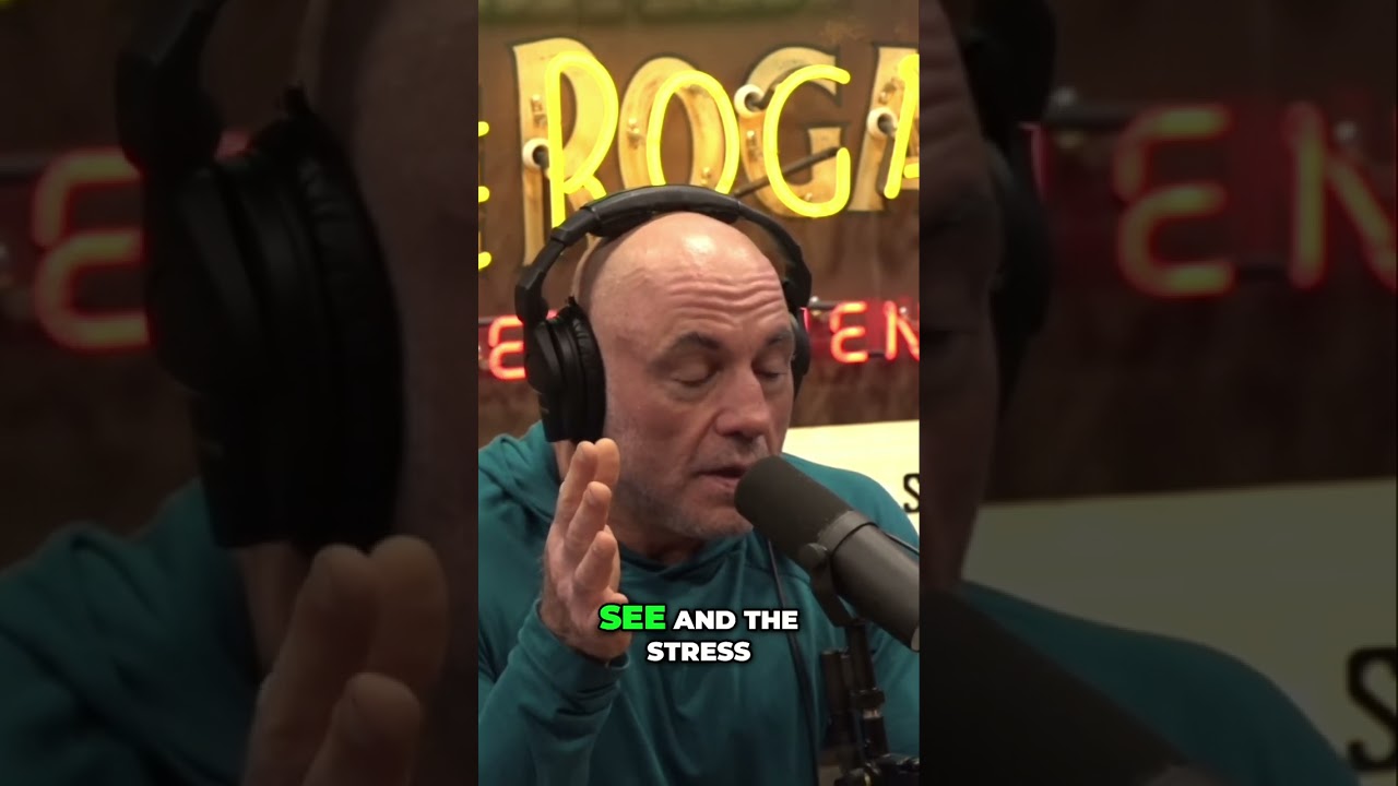 The Hidden Burden of Police Stress: A Deeper Look