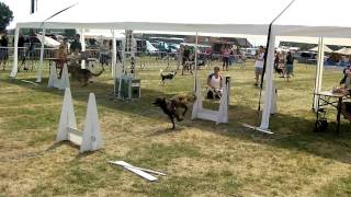 SANY0073.MP4