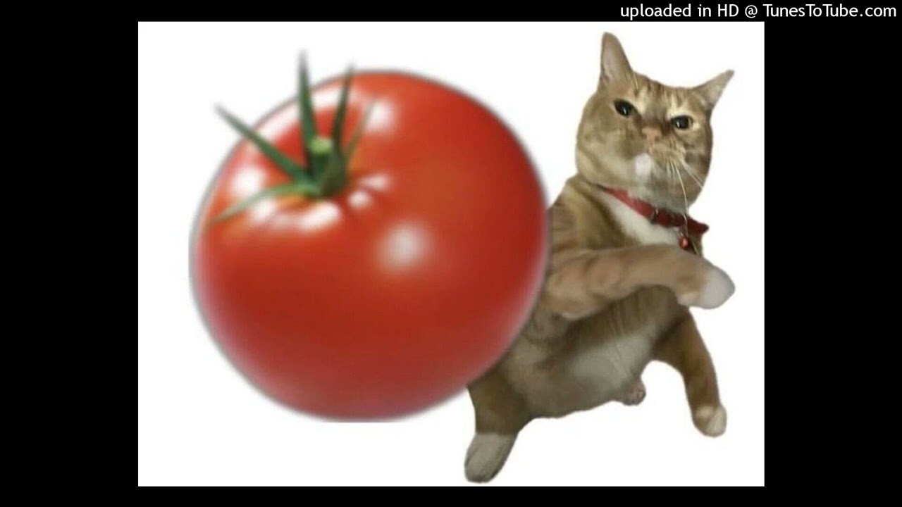 sickboyrari x bladee type beat - zz@y [nigthtmare]