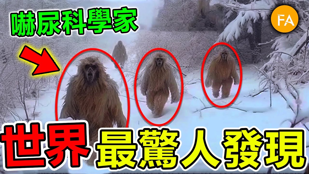 世界最驚人的十個恐怖發現，無人機意外拍到驚人畫面，第一名嚇壞科學家，甚至將造成全球災難！- 旅行紀錄片