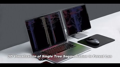 Exploring the 3D Visualization of Single Tree Segmentation in Forest Lan