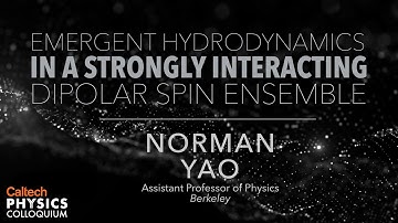 Emergent Hydrodynamics in a Strongly Interacting Dipolar Spin Ensemble - Norman Yao - 10/8/2020
