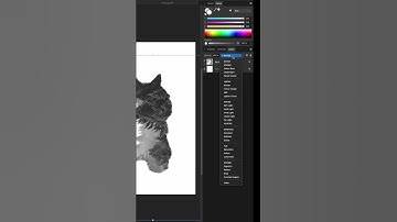 Create Stunning Double Exposure Effects | Affinity Photo Tutorial