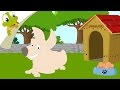 I have a Dog Nursery Rhyme | Animal Songs for Kids