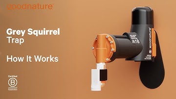 Goodnature A18 Grey Squirrel Trap - How It Works