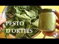 Pesto d&#39;orties recette ultra facile