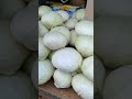 Запорожье цены в розницу рынок Анголенко помидор 35 грн капуста на соление 12.5