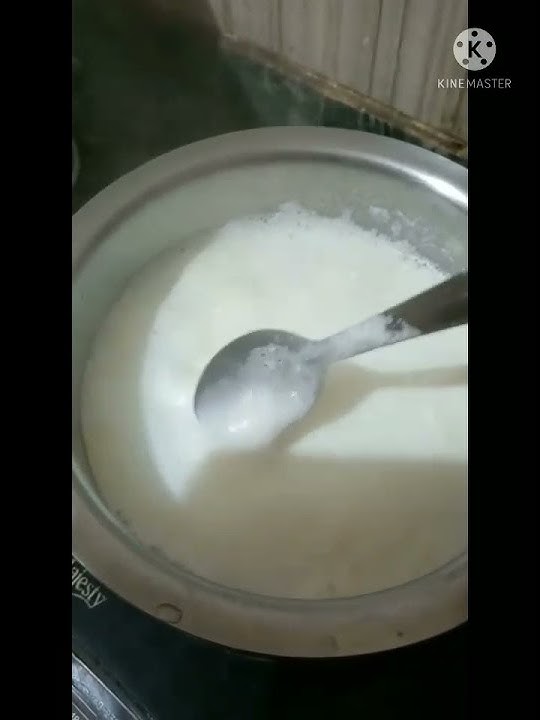Rasa bali